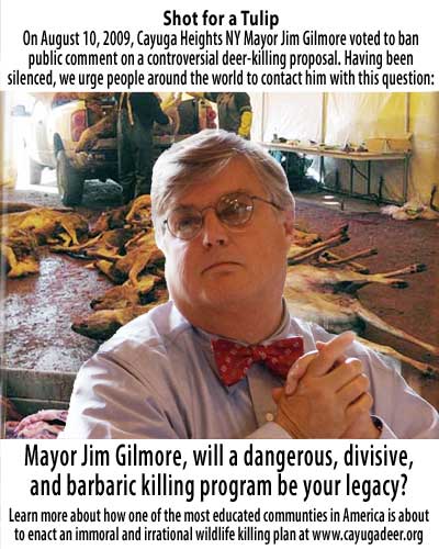 Mayor Jim Gilmore