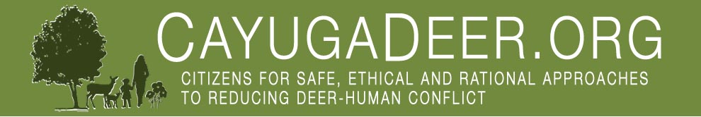 CayugaDeer.org